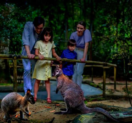 Singapore Zoo